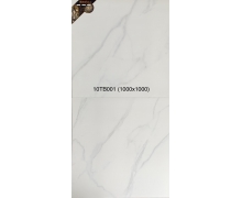 10TB001