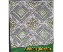 50V- SV5001
