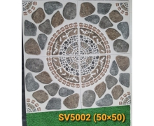 50V-SV5002