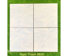 NT 8820