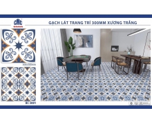 Mẫu gạch lát CMC-01