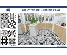 Mẫu gạch lát CMC-03