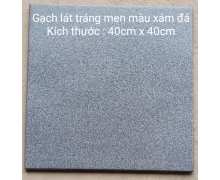 Gạch lát  tráng men màu xám đá 40cm x 40cm