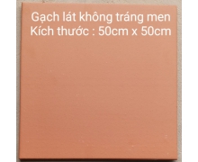 Gạch lát không tráng men 50x50