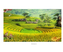 Gạch tranh 35