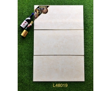 L48019