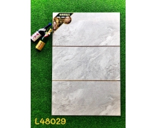 L48029