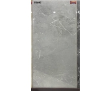NK81603