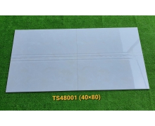 TS48001