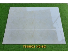 TS48002