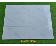 TS48003