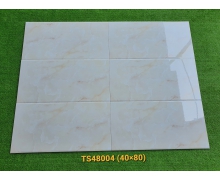 TS48004