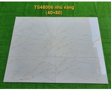 TS48006