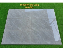 TS48007