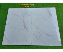 TS48008