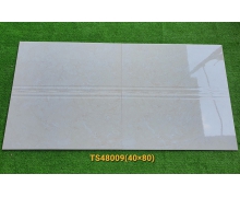 TS48009