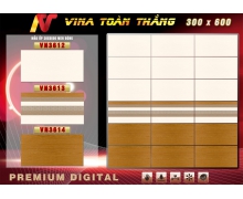 Mẫu ốp VN