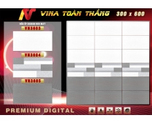 Mẫu ốp VN
