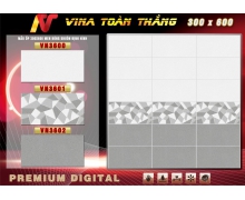 Mẫu ốp VN