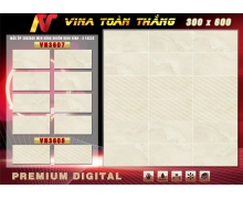 Mẫu ốp VN