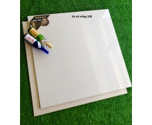 Xà cừ trắng 100
